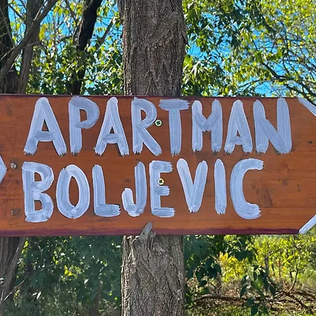 Apartmán Boljevic *